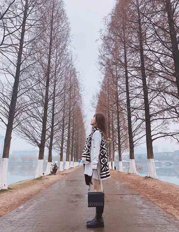 纽约围经纪人微信